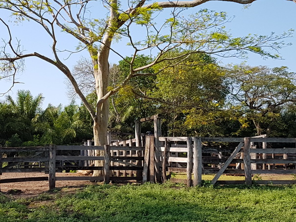 POUSADA-Xaraes-Boatsafari