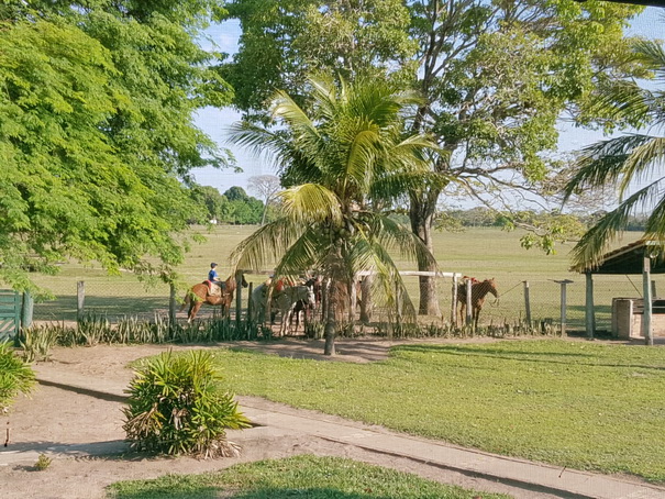 Barra Mansa Lodge Barra Mansa Lodge  