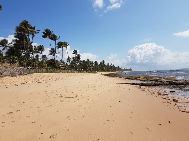 tivolieco resort bahia de salvador brazil Praia Do Forte 