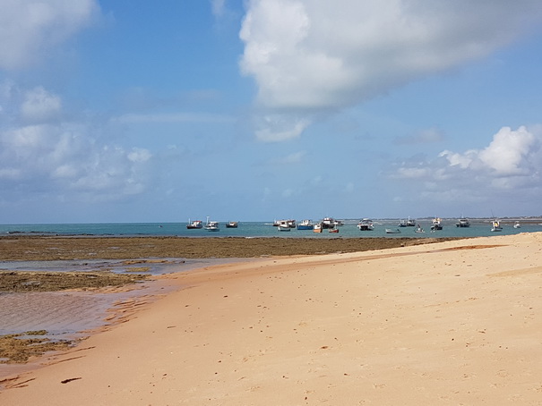 tivolieco resort bahia de salvador brazil Praia Do Forte 