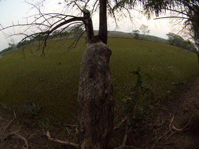 Barra Mansa Lodge  fisheye Bridge