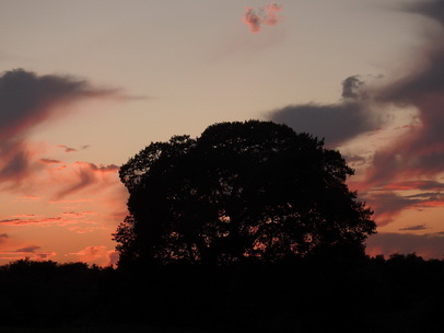 Barra Mansa Lodge Sundowner