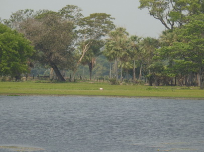   Pousada São João Ecotour   Dschungellodge Pantanal  Pousada São João Ecotour  Pousada São João Ecotour    tapirprint