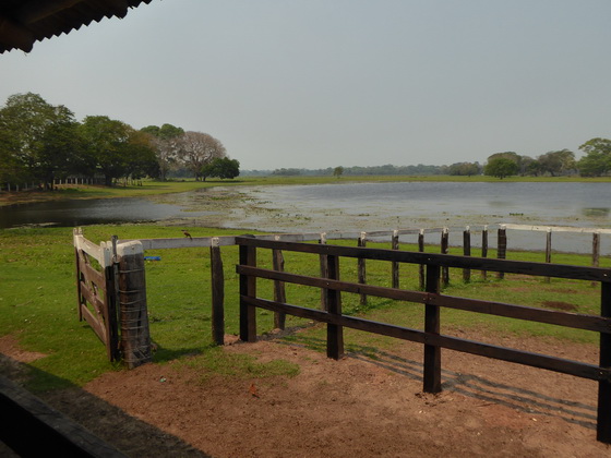   Pousada São João Ecotour   Dschungellodge Pantanal  Pousada São João Ecotour  Pousada São João Ecotour    tapirprint