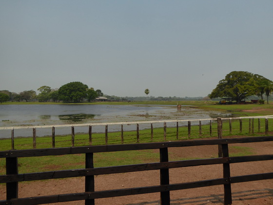   Pousada São João Ecotour   Dschungellodge Pantanal  Pousada São João Ecotour  Pousada São João Ecotour    tapirprint