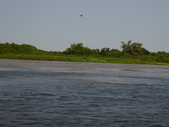 RedRiver floating in Rio Miranda 2 Colors