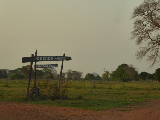 Aguape Fazenda Pantanal 1