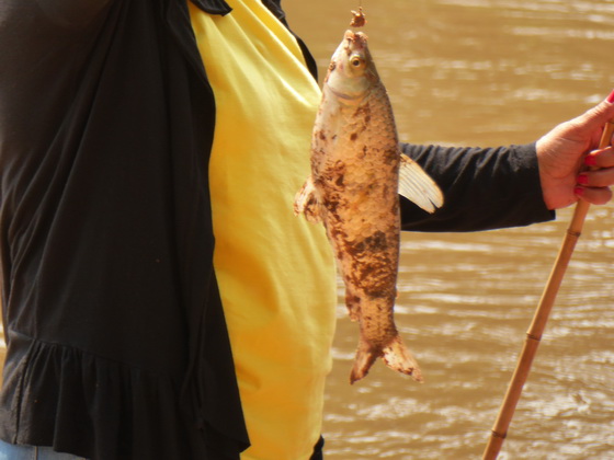 Aguape Fazenda Pantanal fishing 