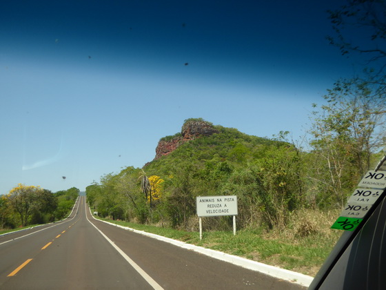 Pantanal back to campo Grande