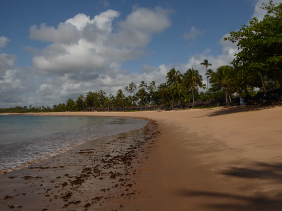 Praia Do Forte 