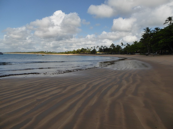 Praia Do Forte 