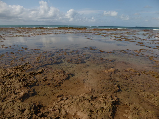 Praia Do Forte 