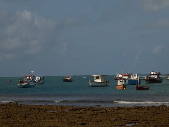 tivoli eco resort bahia de salvador brazil Praia Do Forte Fisherboat