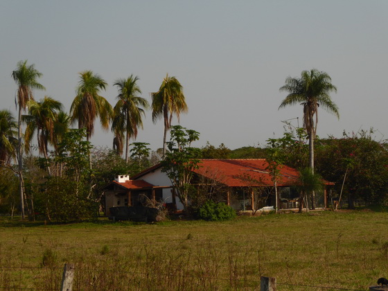 POUSADA Xaraes pantanal-sundowner