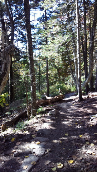    Wanderung im Acadia-NationalparkWanderung im Acadia-NationalparkWanderung im Acadia-Nationalpark