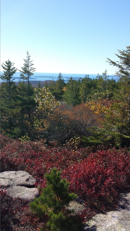    Wanderung im Acadia-NationalparkWanderung im Acadia-Nationalpark Wanderung im Acadia-Nationalpark