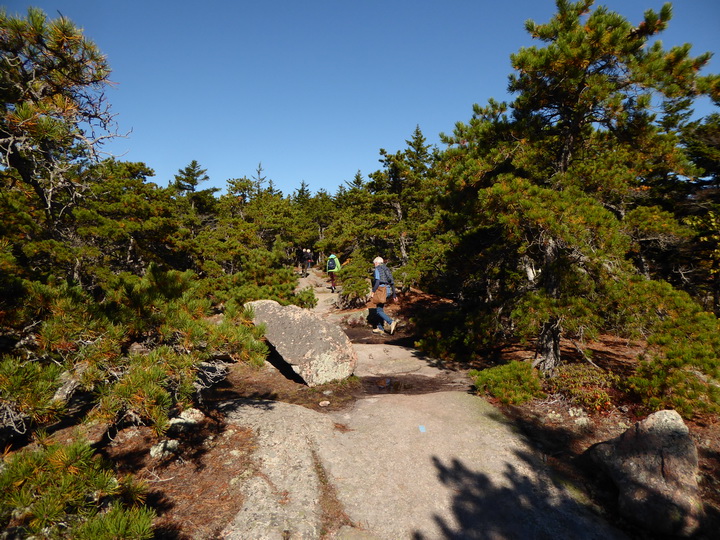   Wanderung im Acadia-Nationalpark  Cadillac Mountain NP  Hiking Trail from Otter Cove to TopWanderung im Acadia-Nationalpark  Cadillac Mountain NP  Hiking Trail from Otter Cove to Top