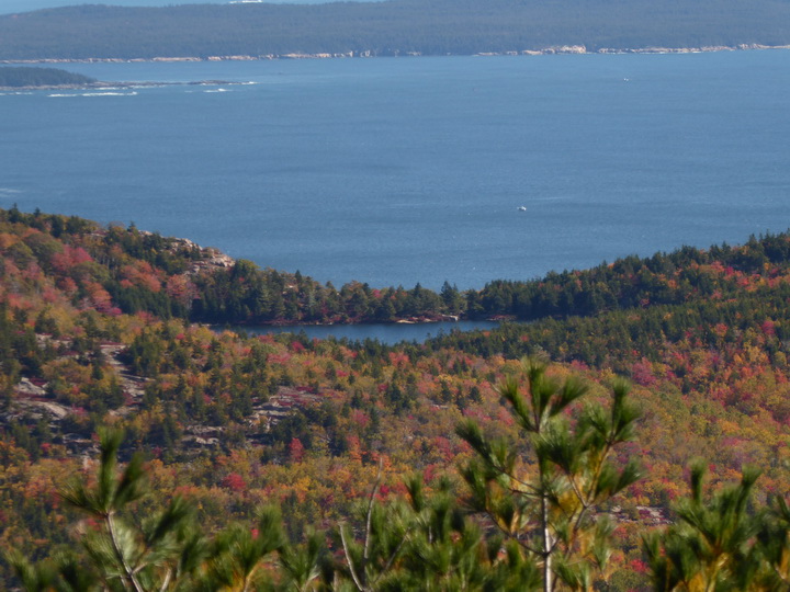 Wanderung im Acadia-Nationalpark  Cadillac Mountain NP  Hiking Trail from Otter Cove to Top