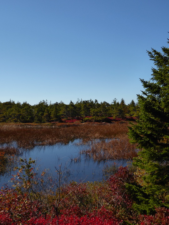 Wanderung im Acadia-Nationalpark  Cadillac Mountain NP  Hiking Trail from Otter Cove to Top