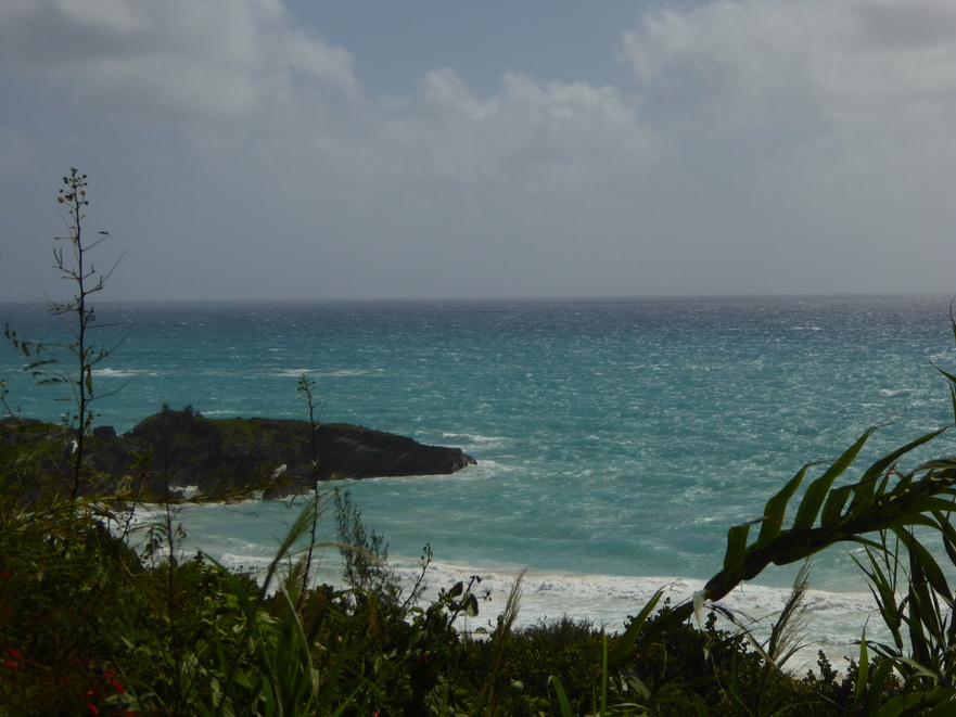 Hamilton Bermuda Beaches  Bermudas Beach Horseshoe Beach 