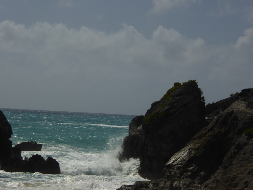 Hamilton Bermuda Beaches  Bermudas Beach Horseshoe Beach 