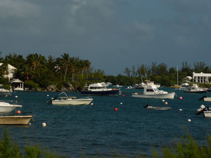 Hamilton Bermuda Houses 