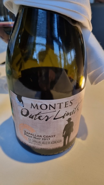 Restaurant Sporthotel Restaurant Sporthotel   Montes Outer Limits Pinot Noir 2017 Valle de Aconcagua Daun Sporthotel  