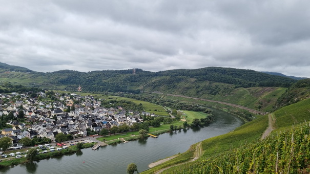   Mosel Marienburg (Mosel) Pnderich Weinberge Mosel Marienburg 