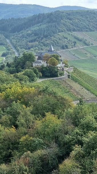   Mosel Marienburg (Mosel) Pnderich Weinberge Mosel Marienburg 