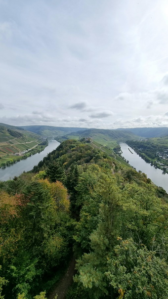   Mosel Marienburg (Mosel) Pnderich Weinberge Mosel Marienburg 