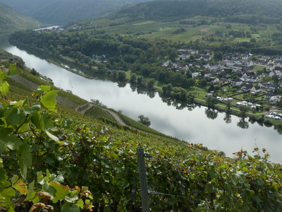 marienburger Aussichtsturm Moselschleife Prinzenkopf