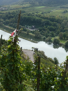 (Mosel) Pnderich