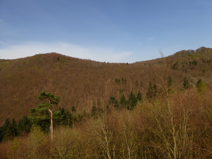 Edersee Schloss Waldeck  Waldeck am Edersee  Seilbahn