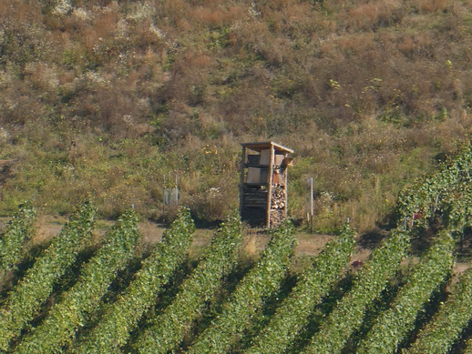 Eifel Mosel AlF