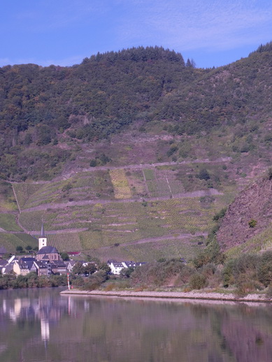 Eifel Mosel AlF nach Cochem 