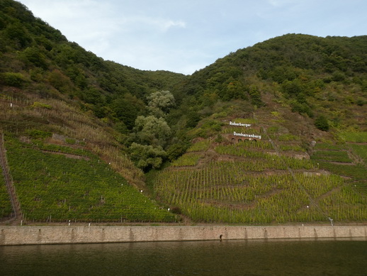 Eifel Mosel AlF nach Cochem Eifel Mosel AlF nach Cochem   