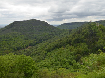 Pfalz Neustadt an der Weinstrasse   Burg Trifels  Annweiler 