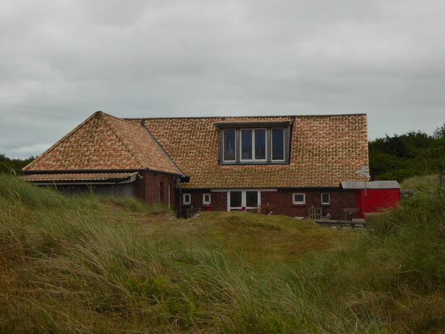   Wangerooge Dünen  Dünen auf  Wangerooge  wangerooge.de