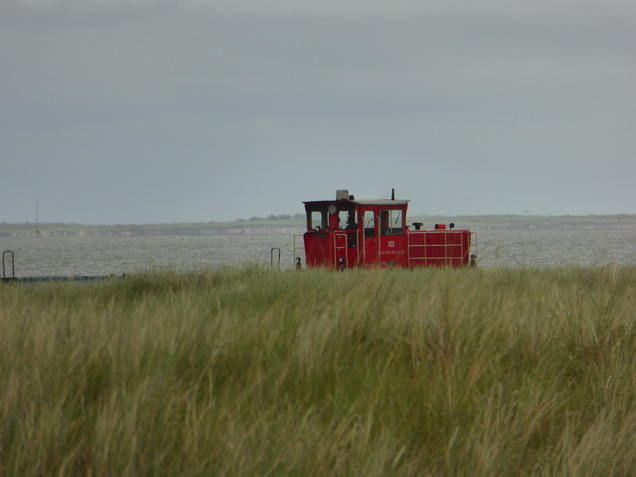 Wangerooge   Wangerooge  wangerooge.de wangerooge Wattenmeer Inselbahn  