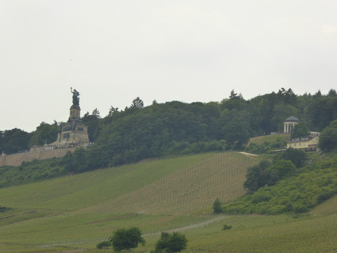 Weinberge Nierderwalddenkmal Seilbahn Assmannshausen Rüdesheim am Rhein