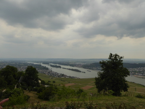 Weinberge Nierderwalddenkmal Seilbahn Assmannshausen Rüdesheim am Rhein