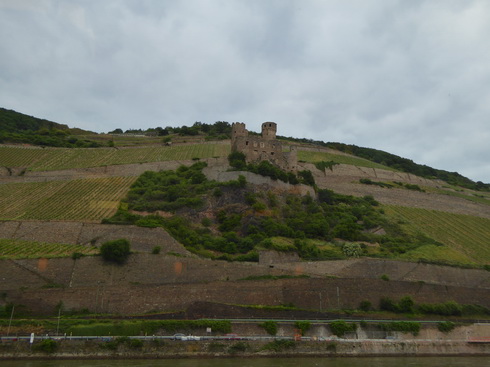 Mit dem Schiff Stolzenfels von Braubach nach  Rüdesheim   Assmannshausen mit seilbahn 