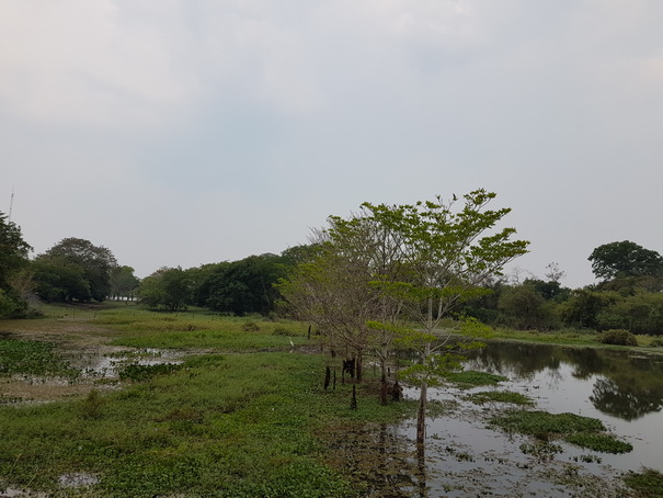 &nbsp;&nbsp;Passo do Lontra FischermenlodgePasso do Lontra Fischermenlodge