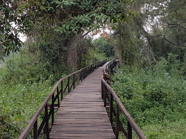 &nbsp;&nbsp;Passo do Lontra FischermenlodgePasso do Lontra Fischermenlodge
