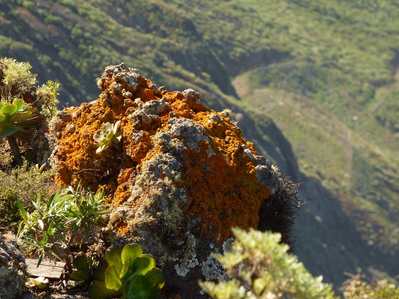 Mirador de la Pena