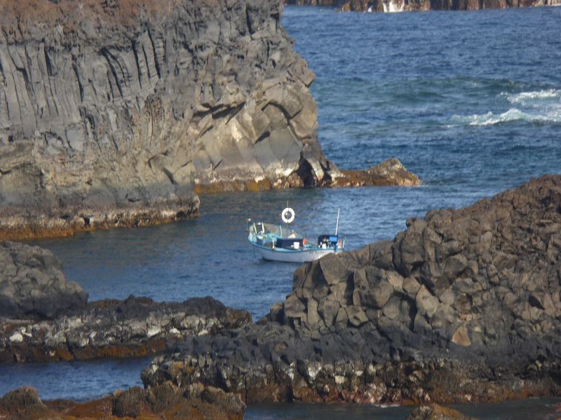 Pozo de Las Calcosas  pescados