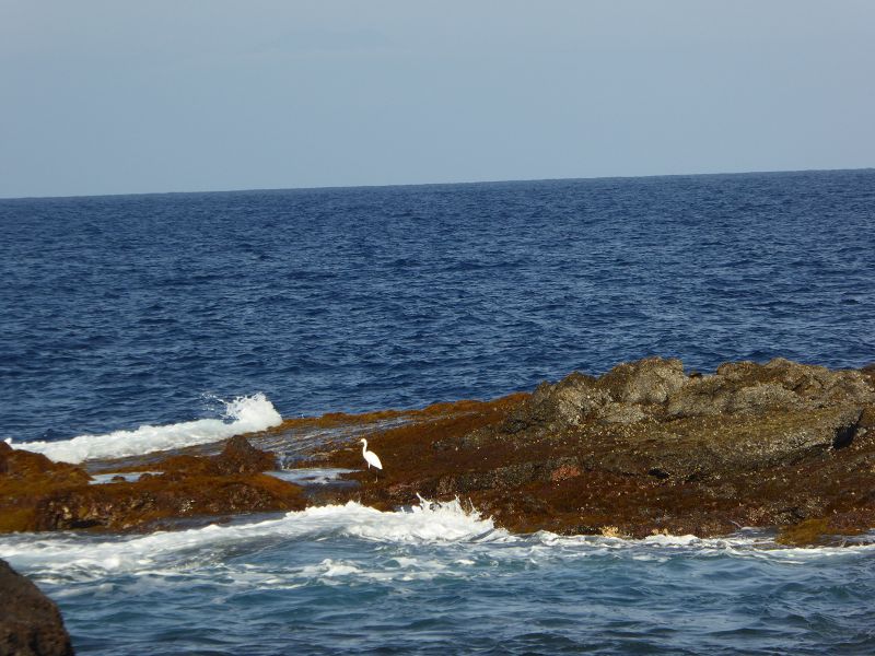 Charco Manso 