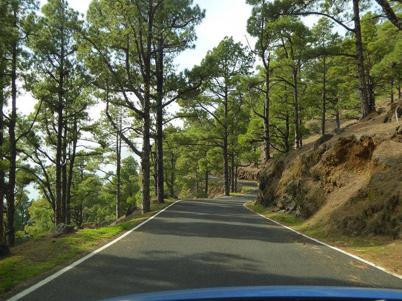 El Julan Pinienstrasse Strasse an der Sdkste oben ab Berg geschtzte 1200 Kurven 