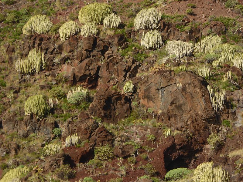   Parador National Staatliches Hotel Sdostkste El Hierro  Bildliste mit allen Paradores parador.es/esParador National Staatliches Hotel Sdostkste El Hierro 