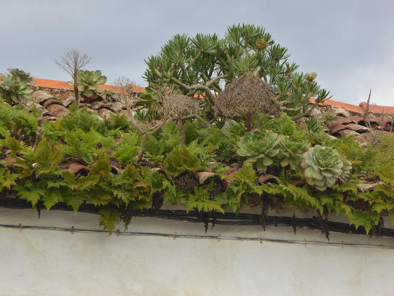 Valverde Hauptstadt El Hierro